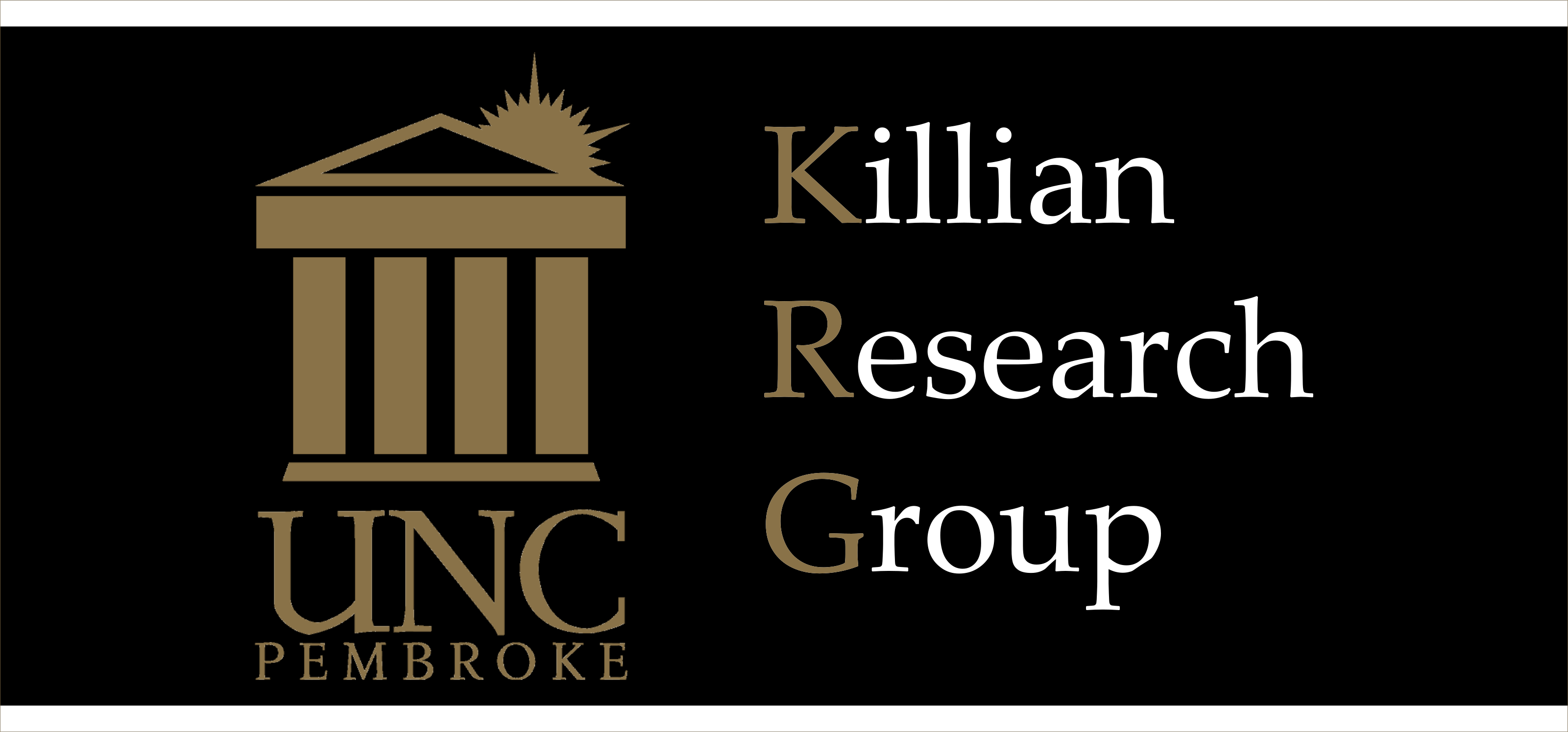 Killian Group Logo